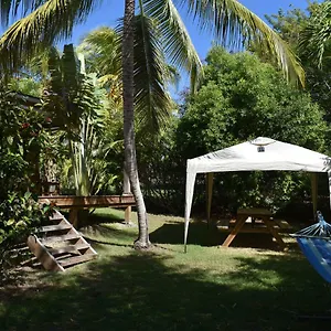 kazatipunch.comcaribbean.com/